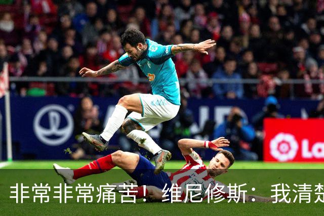 非常非常痛苦！维尼修斯：我清楚巴西很多没夺冠了，向球迷们致歉